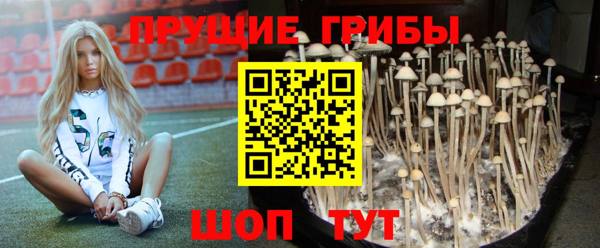 Нижний Новгород  Галлюциногенные грибы мухоморы  Вход с VPN 